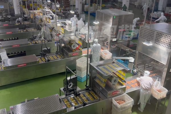 山東大型食品廠奧爾良雞肉腸加工項目